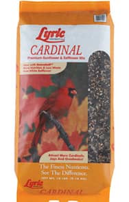 lyric-cardinal_detail