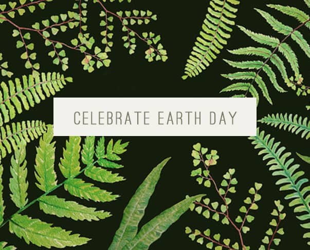 celebrate earth day