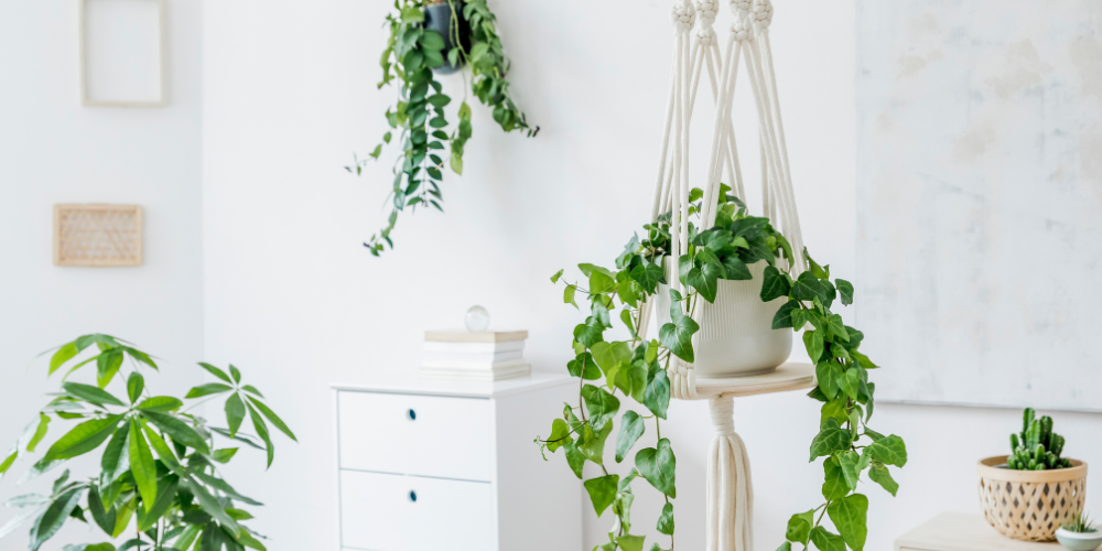 apartment gardening