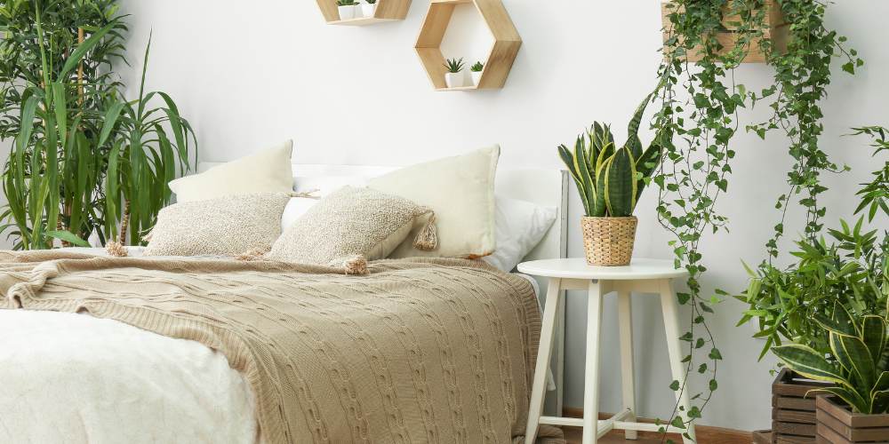 boston apartment gardening indoor plants