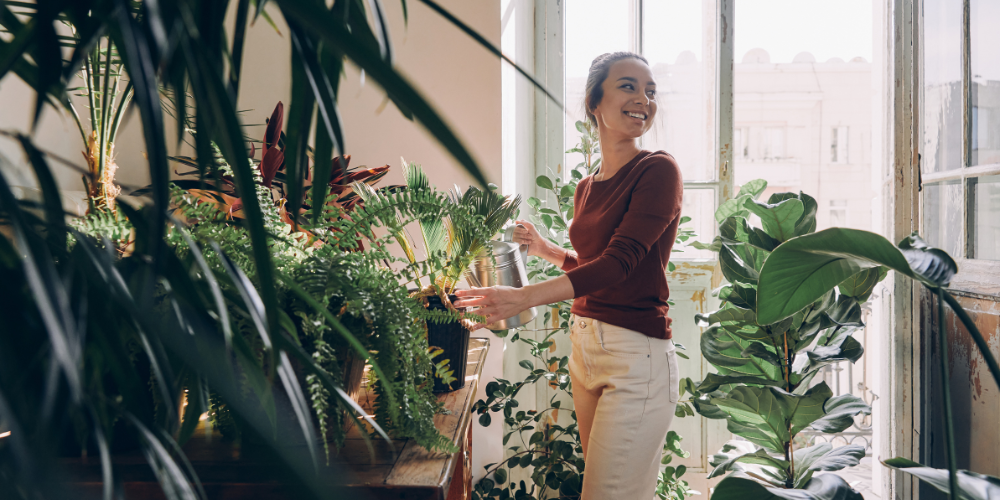 city living plants