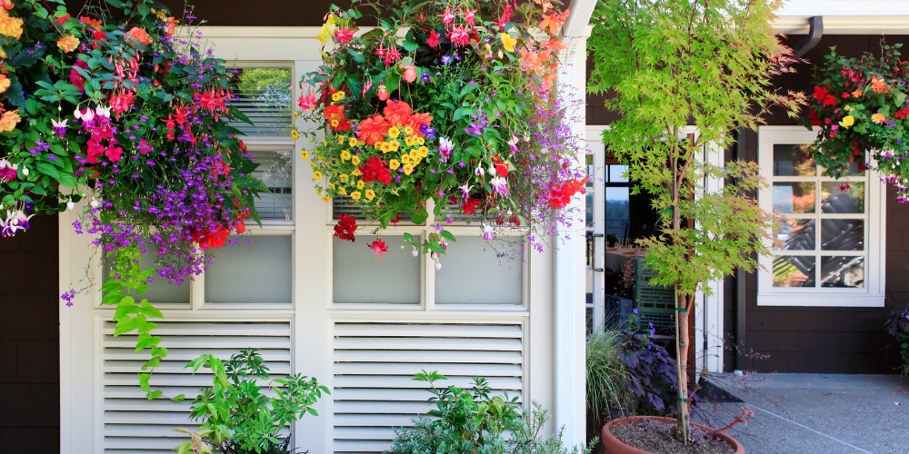 Mahoney's Garden Center-New England-Massachussets-Native Trees and Shrubs for City Gardening-hanging baskets filled with color
