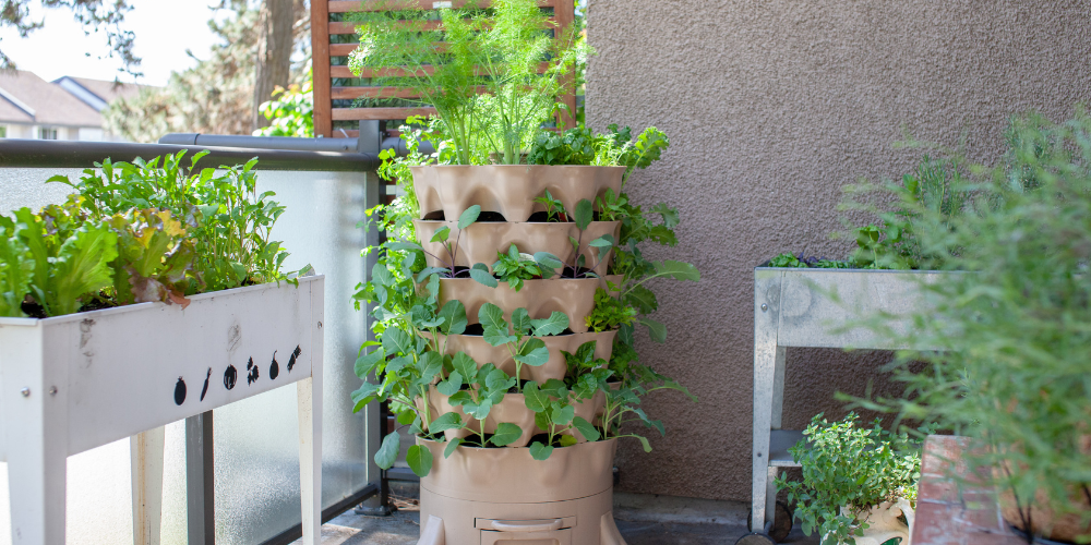 Mahoney's Garden Center-New England-Container Gardening-vertical garden on balcony