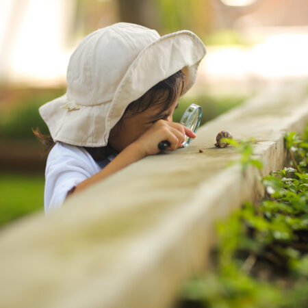 little child looking at snail through a magnifying glass